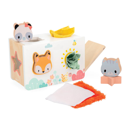 Pure Fabrics Shape Sorter Box | Wooden Sensory & Fine Motor Toy (12M+)