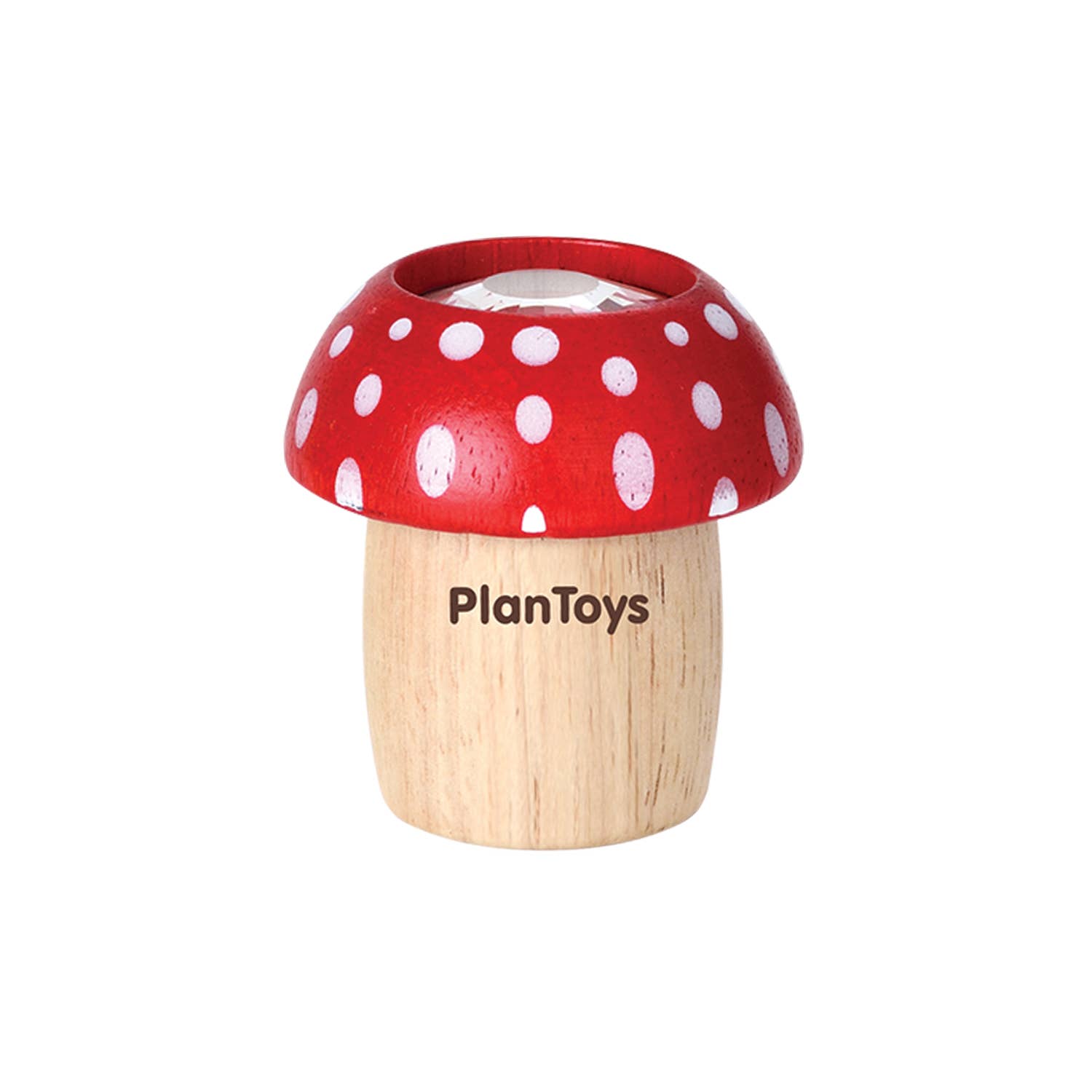 Fine Motor Skill Toys